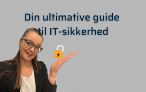 Den ultimative guide til IT sikkerhed